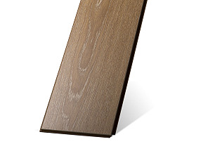 Дуб Ливерпуль