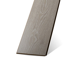 Дуб Онтарио