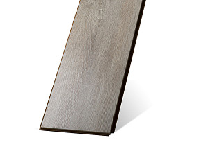 Дуб Пепельный