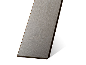 Дуб Северный