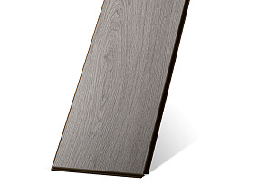 Дуб Зигфрид