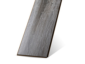 Сосна Асахи