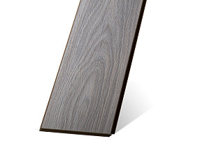 Дуб Веласкес