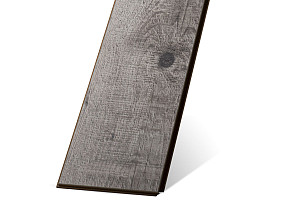 Сосна Ренессанс