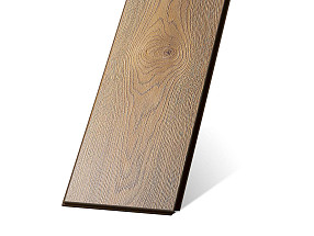 Вяз Американский