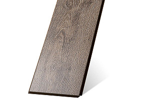 Дуб Триполи