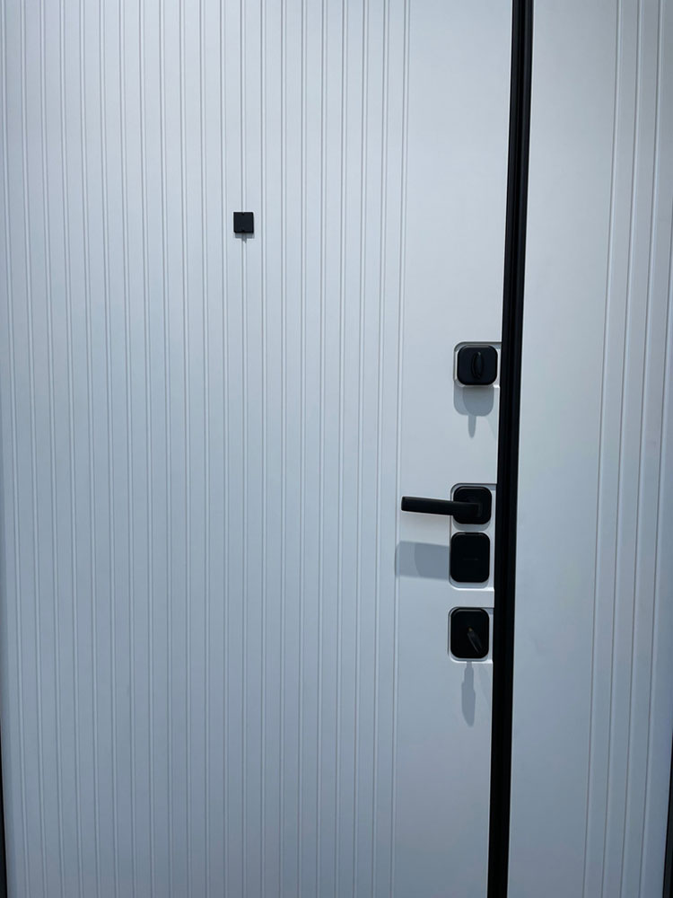 Входная дверь Eldorini М1828/25 2050x1250 мм, железо, сталь, правая